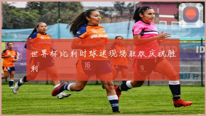 世界杯比利时球迷现场狂欢庆祝胜利