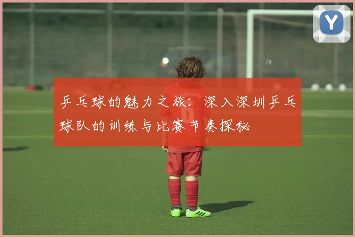乒乓球的魅力之旅：深入深圳乒乓球队的训练与比赛节奏探秘