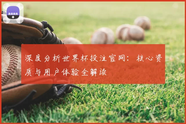 深度分析世界杯投注官网:核心资质与用户体验全解读