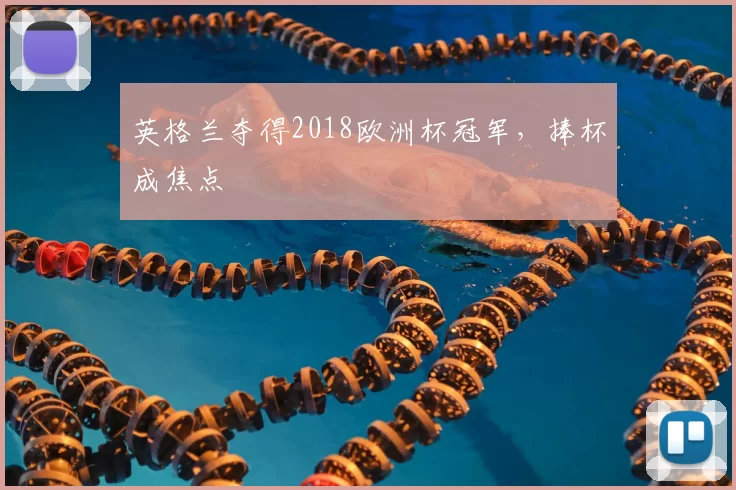 英格兰夺得2018欧洲杯冠军,捧杯成焦点