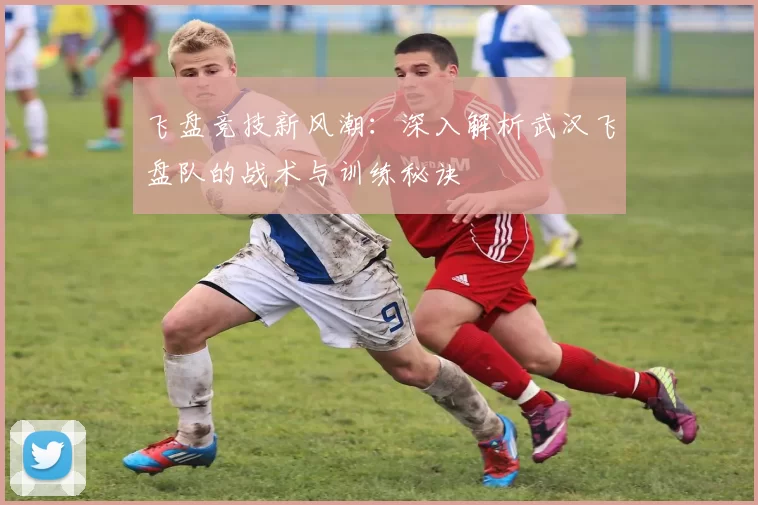 飞盘竞技新风潮：深入解析武汉飞盘队的战术与训练秘诀