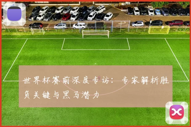 世界杯赛前深度专访:专家解析胜负关键与黑马潜力