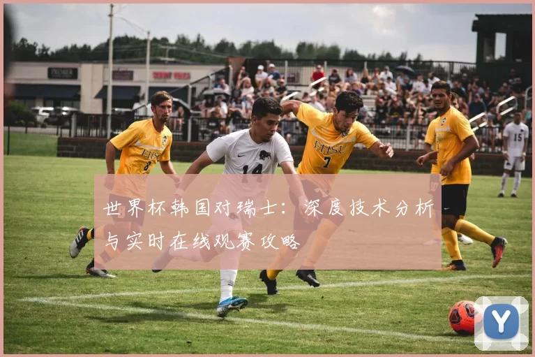 世界杯韩国对瑞士:深度技术分析与实时在线观赛攻略