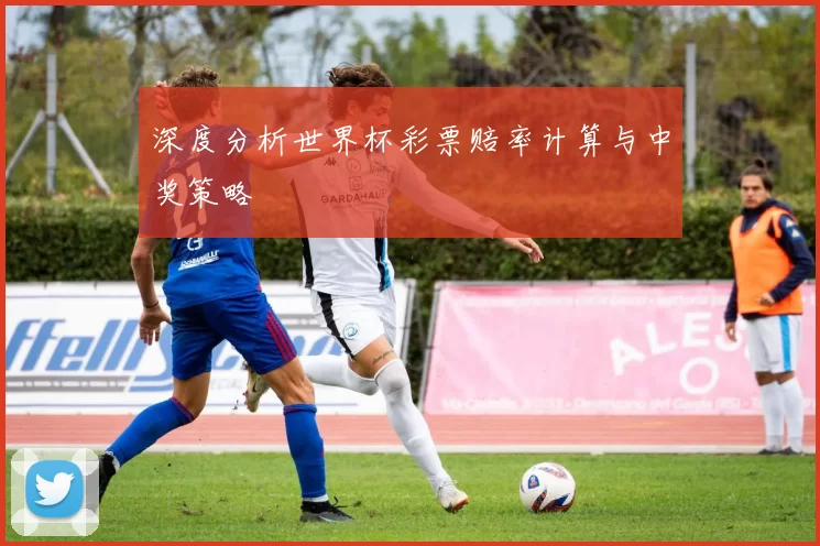 深度分析世界杯彩票赔率计算与中奖策略