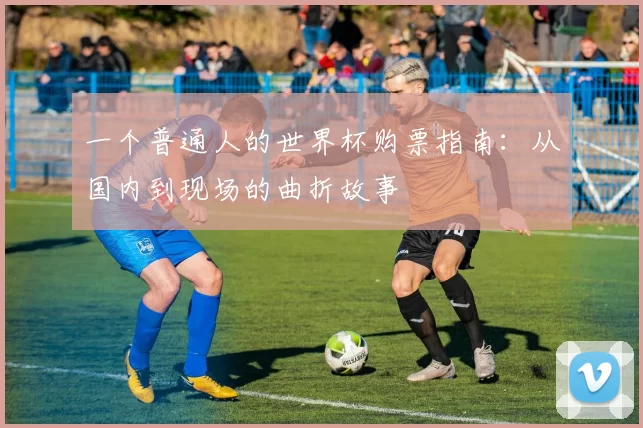 一个普通人的世界杯购票指南：从国内到现场的曲折故事