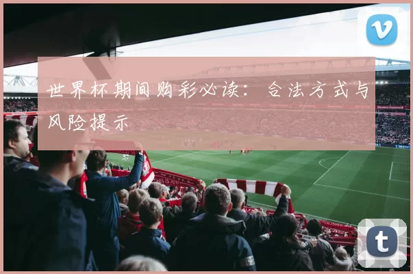 世界杯期间购彩必读：合法方式与风险提示