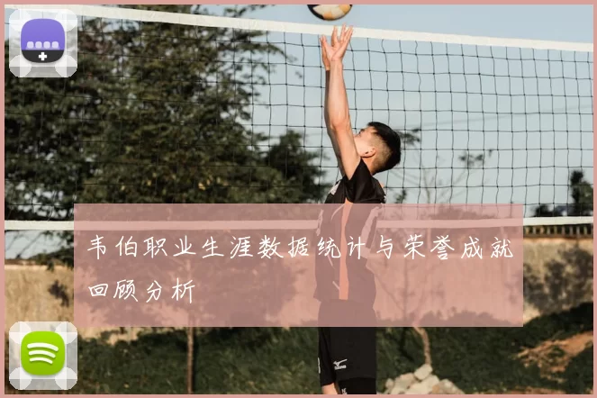 韦伯职业生涯数据统计与荣誉成就回顾分析
