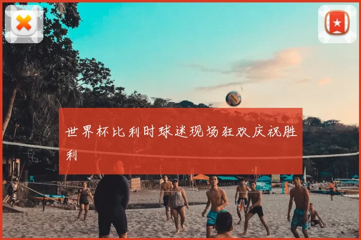 世界杯比利时球迷现场狂欢庆祝胜利