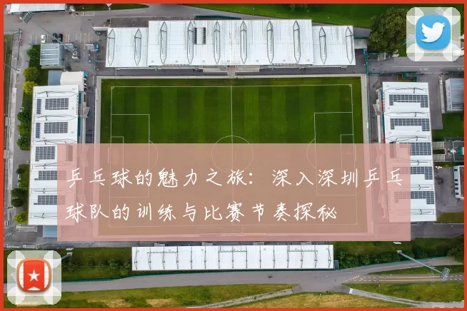 乒乓球的魅力之旅：深入深圳乒乓球队的训练与比赛节奏探秘