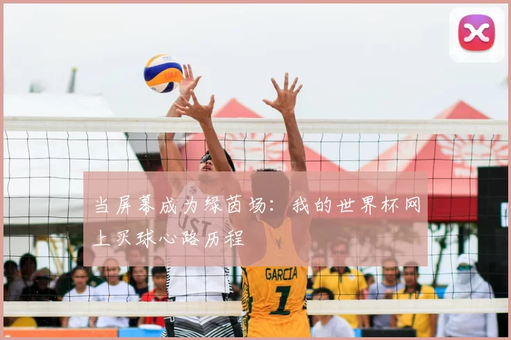当屏幕成为绿茵场:我的世界杯网上买球心路历程