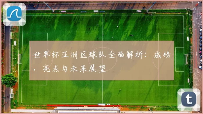 世界杯亚洲区球队全面解析：成绩、亮点与未来展望