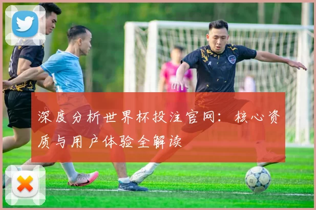深度分析世界杯投注官网:核心资质与用户体验全解读