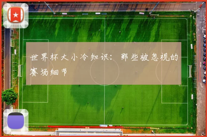 世界杯大小冷知识：那些被忽视的赛场细节