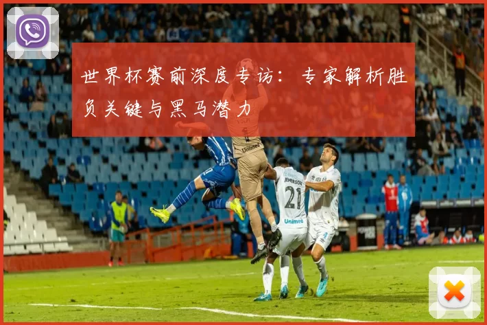 世界杯赛前深度专访:专家解析胜负关键与黑马潜力